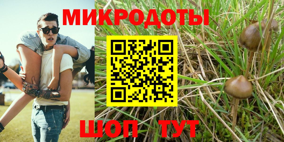 Комсомольск-на-Амуре  Псилоцибиновые грибы прущие грибы  Вход с VPN 